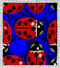 Ladybugs